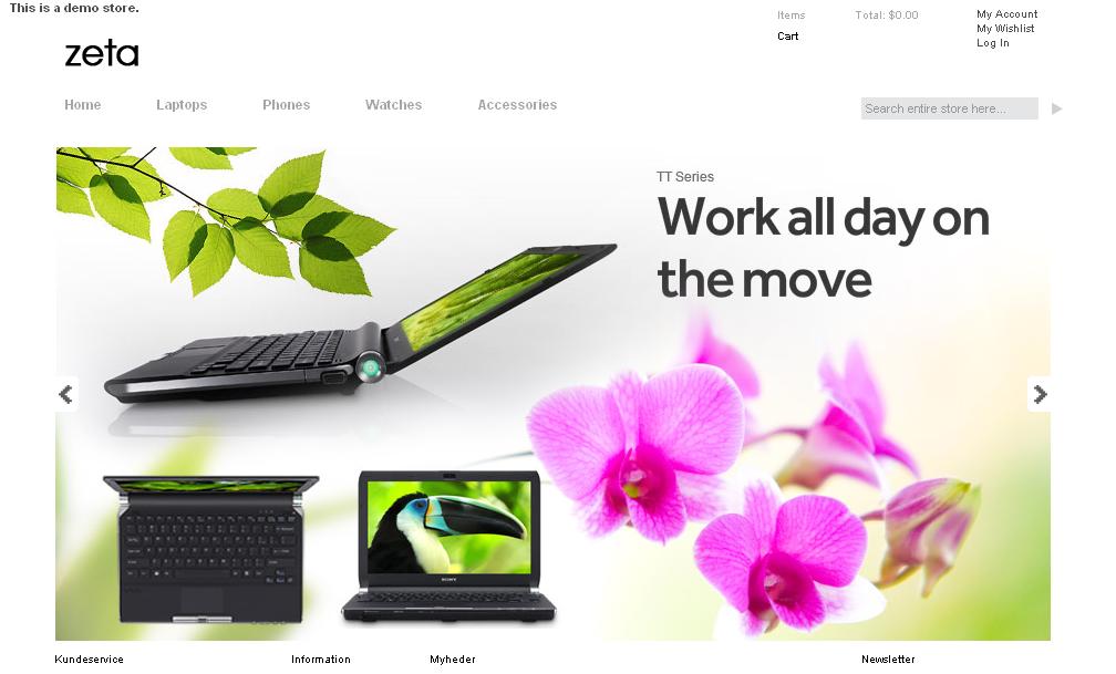 Web Design Sample 1