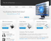 Web Design Sample 1
