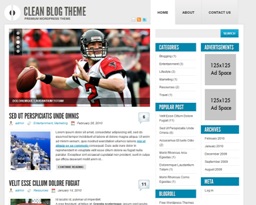 the clean blog